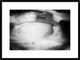 "Beyond Reality" Framed Digital Print by Frank Dalemans, 32x24"