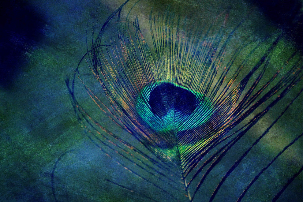 "Plume Robin Dickinson" Painting Print on Wrapped Canvas