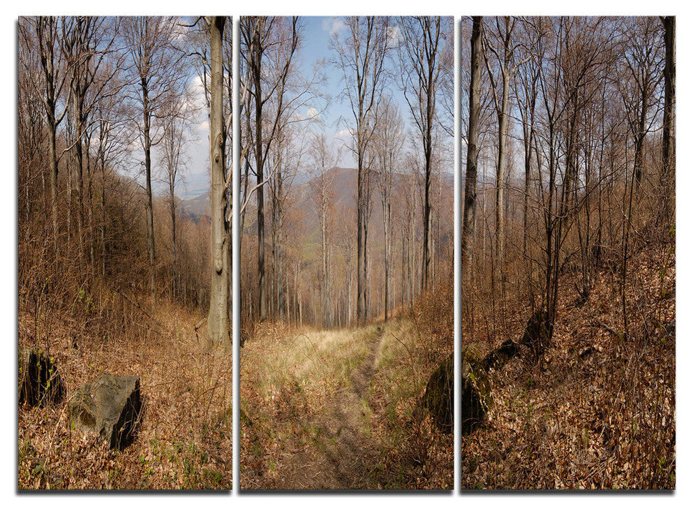 "Forest Scenery With Bare Trees" Forest Metal Wall Art, 3 Panels, 36"x28"