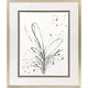 Floral Splash II Framed Art