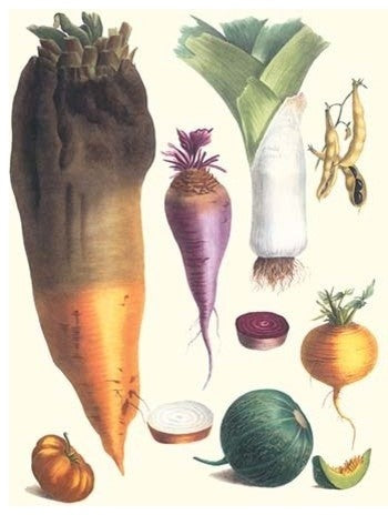 Various Vegetables- Fine Art Giclee Print 24" x 36"