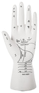 Ceramic Palmistry Hand Figurine Matte White Finish