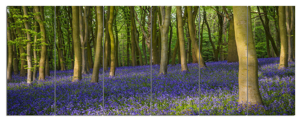 Bluebell Woods in Oxfordshire, Landscape Canvas Art Print, 70"x28", 6 Panels