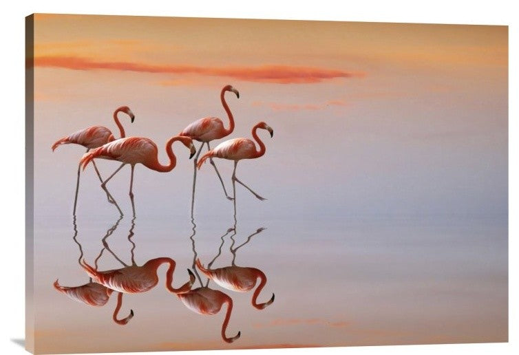 "Untitled" Stretched Canvas Giclee by Anna Cseresnjes, 30x21"