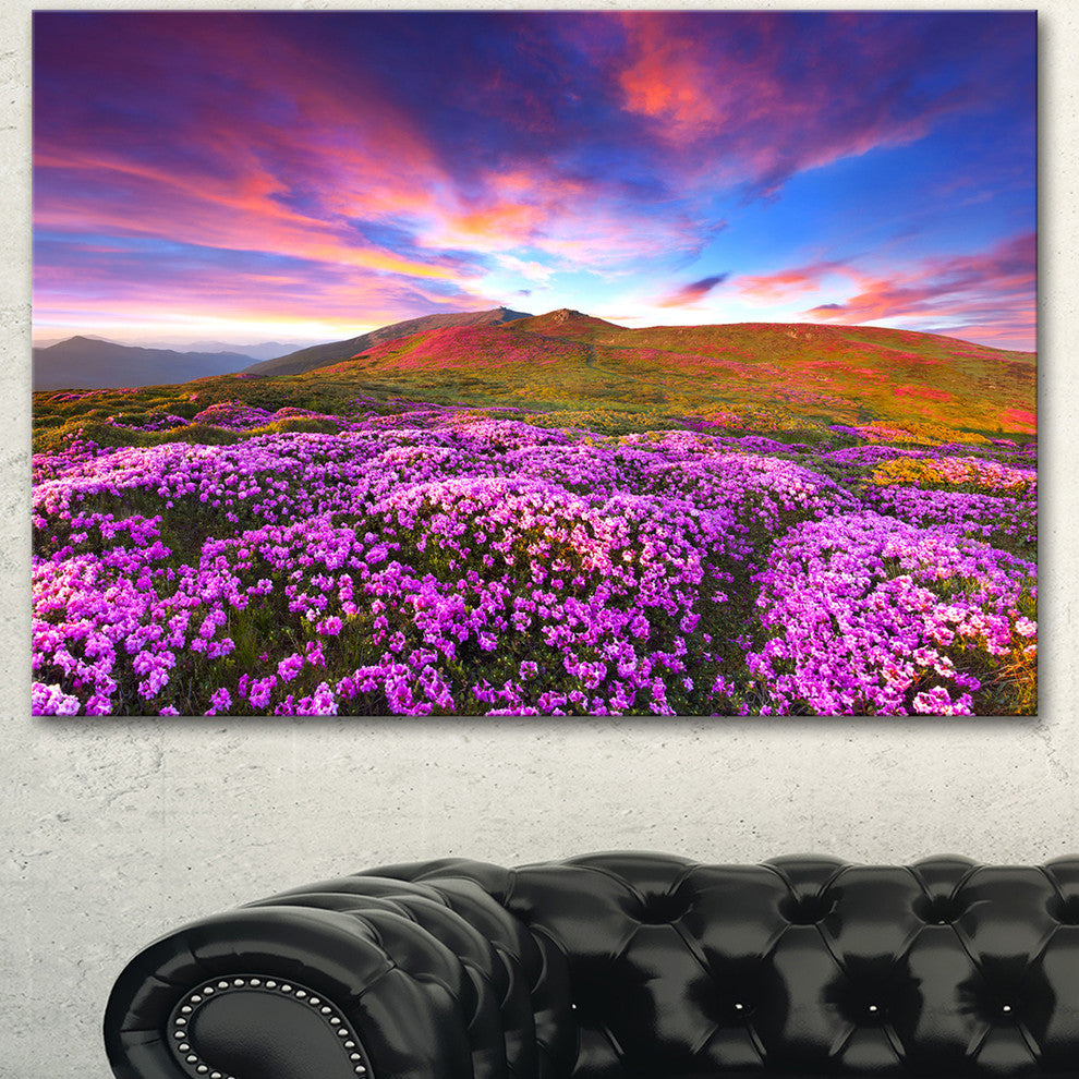 Magic Pink Rhododendron Flowers, Large Landscape Canvas Art Print, 60"x28"