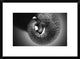 "Trunk" Framed Digital Print by Antje Wenner-Braun, 24"x17"
