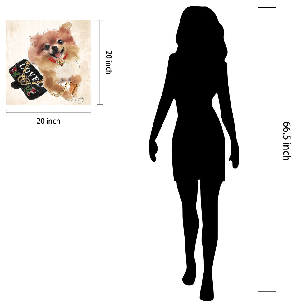 "Pomeranian" Dog Wall Art Print Frameless Free Floating Tempered Glass Panel