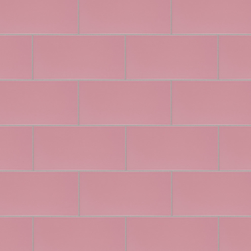 Projectos Ceramic Floor and Wall Tile Sample