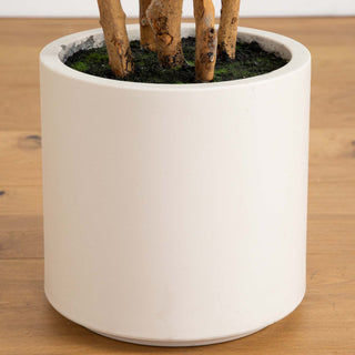 Close-up of planter edge on white background.