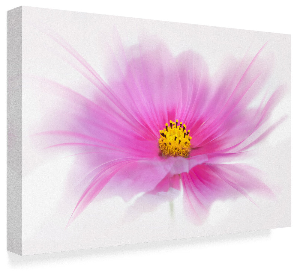 "Dancing Flower Deep Pink Cosmos" by Cora Niele, Canvas Art, 22"x32"