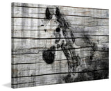 "Elegant Horse" Painting Print on Wrapped Canvas