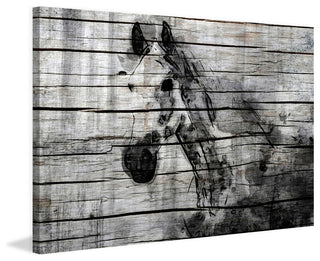 "Elegant Horse" Painting Print on Wrapped Canvas
