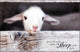 Wall Plaque Lamb We Are His People Mdf 17X11
