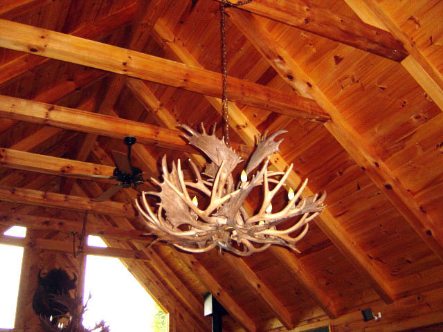 Reproduction Antler Single Tier Fallow, Mule Deer Chandelier Light, RL-22