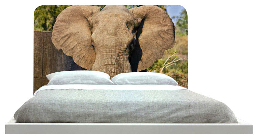 "Elephant" Headboard