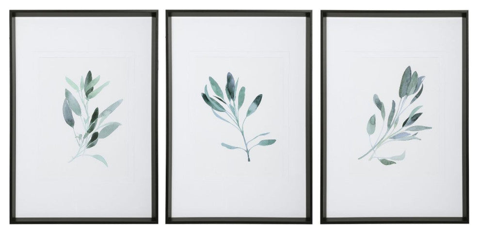 Uttermost Simple Sage Watercolor Prints, Set of 3