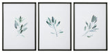 Uttermost Simple Sage Watercolor Prints, Set of 3