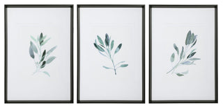 Uttermost Simple Sage Watercolor Prints, Set of 3