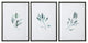 Uttermost Simple Sage Watercolor Prints, Set of 3