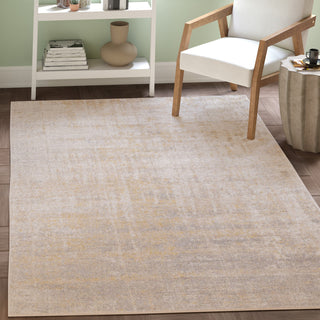 Safavieh Adirondack Collection, ADR207 Rug