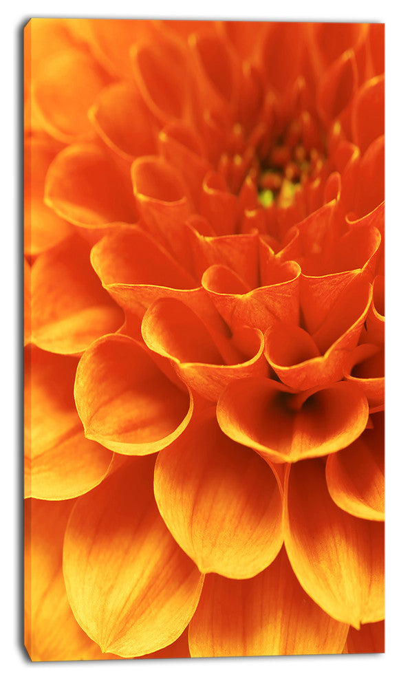 Dark Abstract Yellow Flower Petals, Floral Canvas Art Print, 16"x32"