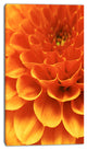 Dark Abstract Yellow Flower Petals, Floral Canvas Art Print, 16"x32"