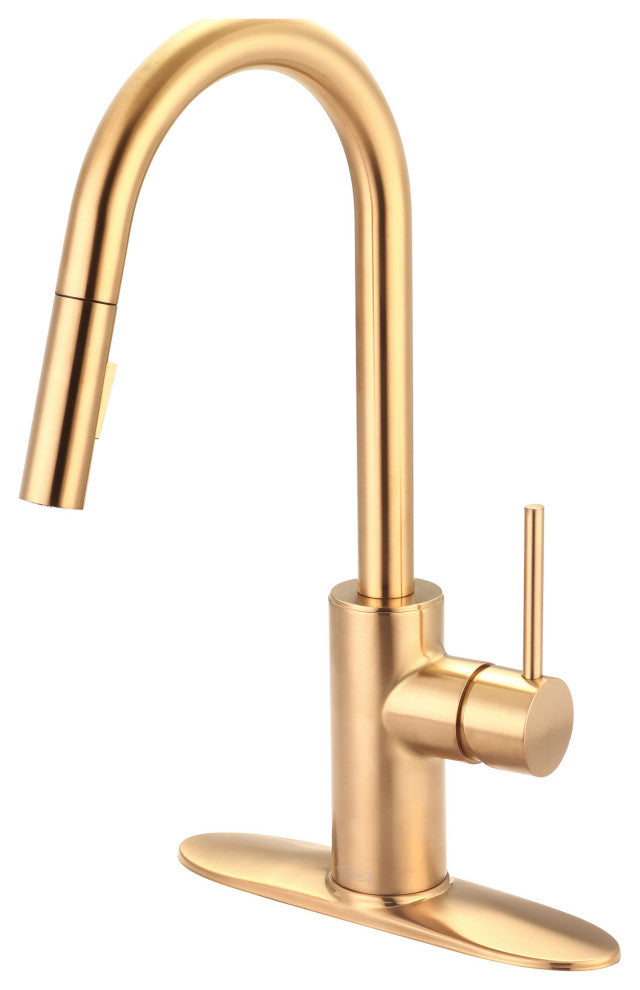 Motegi Single Handle Pull-Down Kitchen Faucet, Brushed Gold