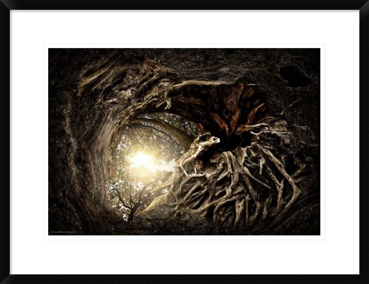 "Under The Trees #1" Framed Digital Print by Matthias Bergolth, 30x23"