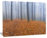 Foggy Dense Forest in autumn, Modern Forest Canvas Art, 40"x30"