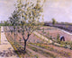 Gustave Caillebotte Kitchen Garden Petit Gennevilliers Wall Decal