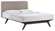 Modway Tracy Twin Bed, Cappuccino Gray