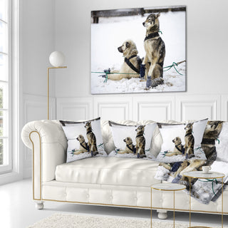 Large Sled Dogs Relaxing Animal Throw Pillow, 16"x16"