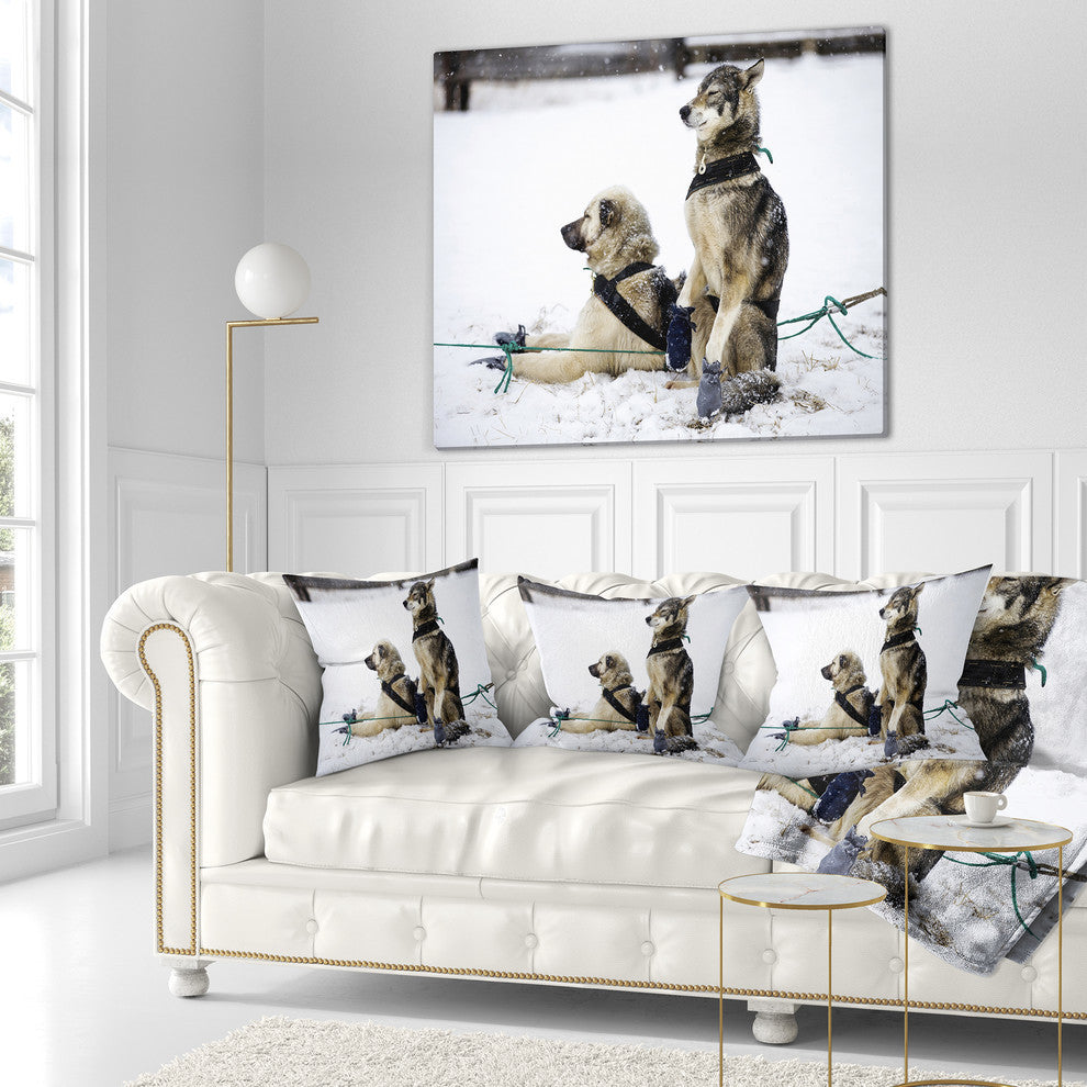 Large Sled Dogs Relaxing Animal Throw Pillow, 16"x16"