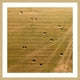 "Tractor Trails" Framed Print by Karolis Janulis