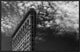 "Nyc, Flatiron" Framed Canvas Giclee by Francesco Santini, 31x21"