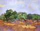 Vincent Van Gogh Olive Grove: Pale Blue Sky Wall Decal