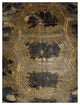 "Carapaced Motif IIIV" Fine Art Piece