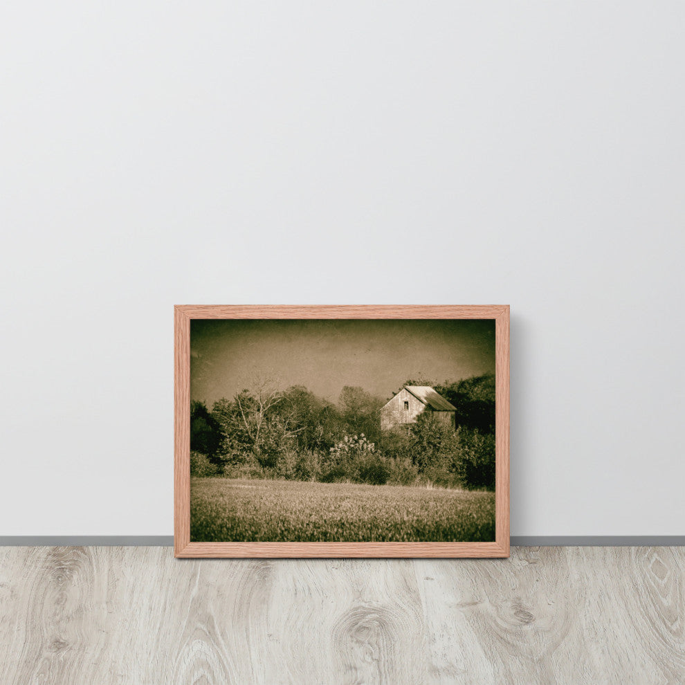 Abandoned Barn In The Trees Vintage Framed Photo Paper Wall Art Prints, Red Oak, 12" X 16"