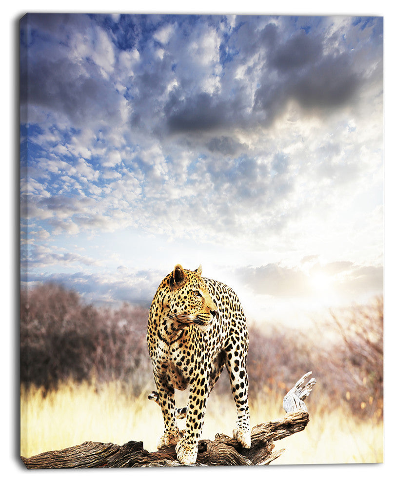 Leopard Walking under Cloudy Sky, African Canvas Art Print, 30"x40"