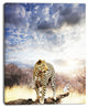 Leopard Walking under Cloudy Sky, African Canvas Art Print, 30"x40"