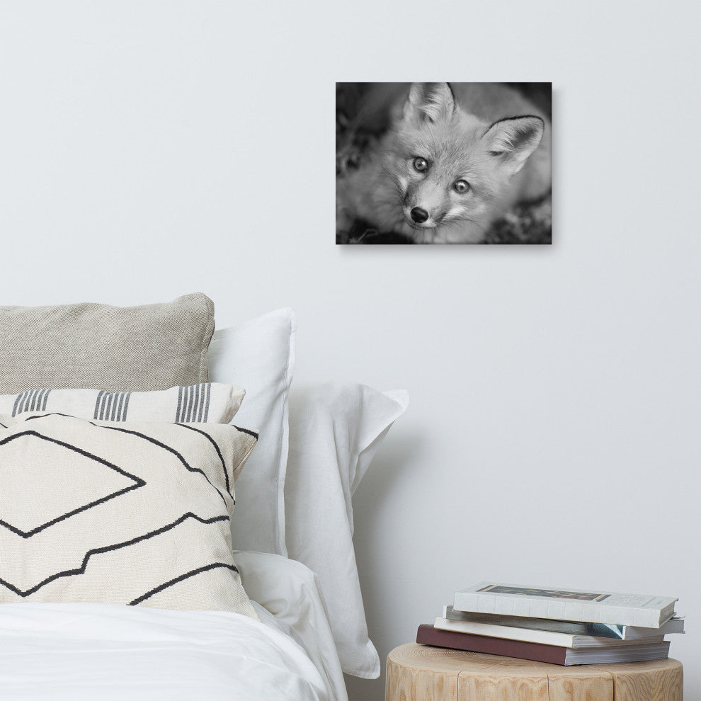 Young Red Fox Face Black and White Wildlife Photograph Canvas Wall Art Print, 12" X 16"