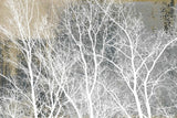 "Frosty White Branches" Painting Print on Wrapped Canvas, 24"x16"