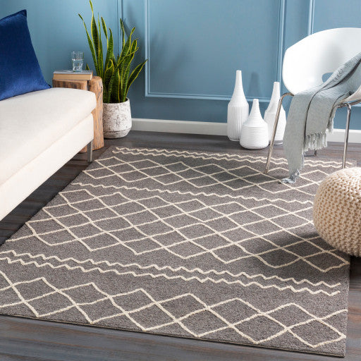 Surya Sinop SNP-2301 6'x9' Rug, Charcoal/Cream