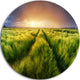 Storm And Light On Meadow, Landscape Large Disc Metal Wall Art, 11"