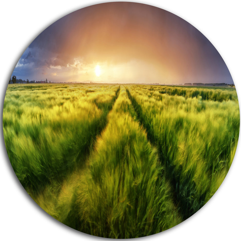 Storm And Light On Meadow, Landscape Large Disc Metal Wall Art, 11"