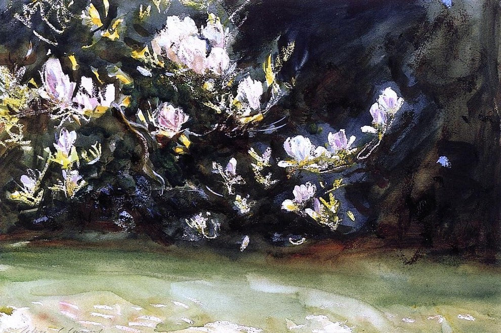 John Singer Sargent Magnolias, 18"x27" Wall Decal Print