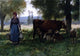 Julien Dupre Cowherd, 18"x27" Wall Decal