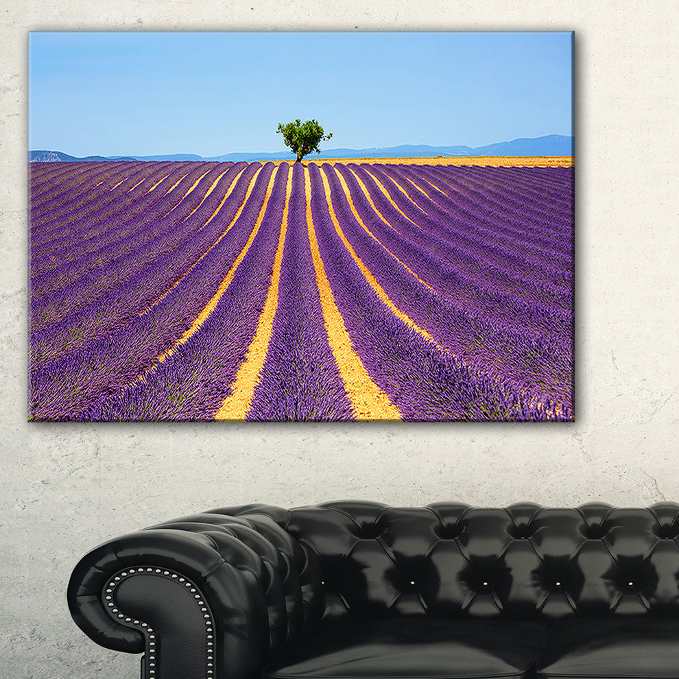 "Lonely Uphill Tree in Lavender Field" Landscape Wall Art, 32"x16"