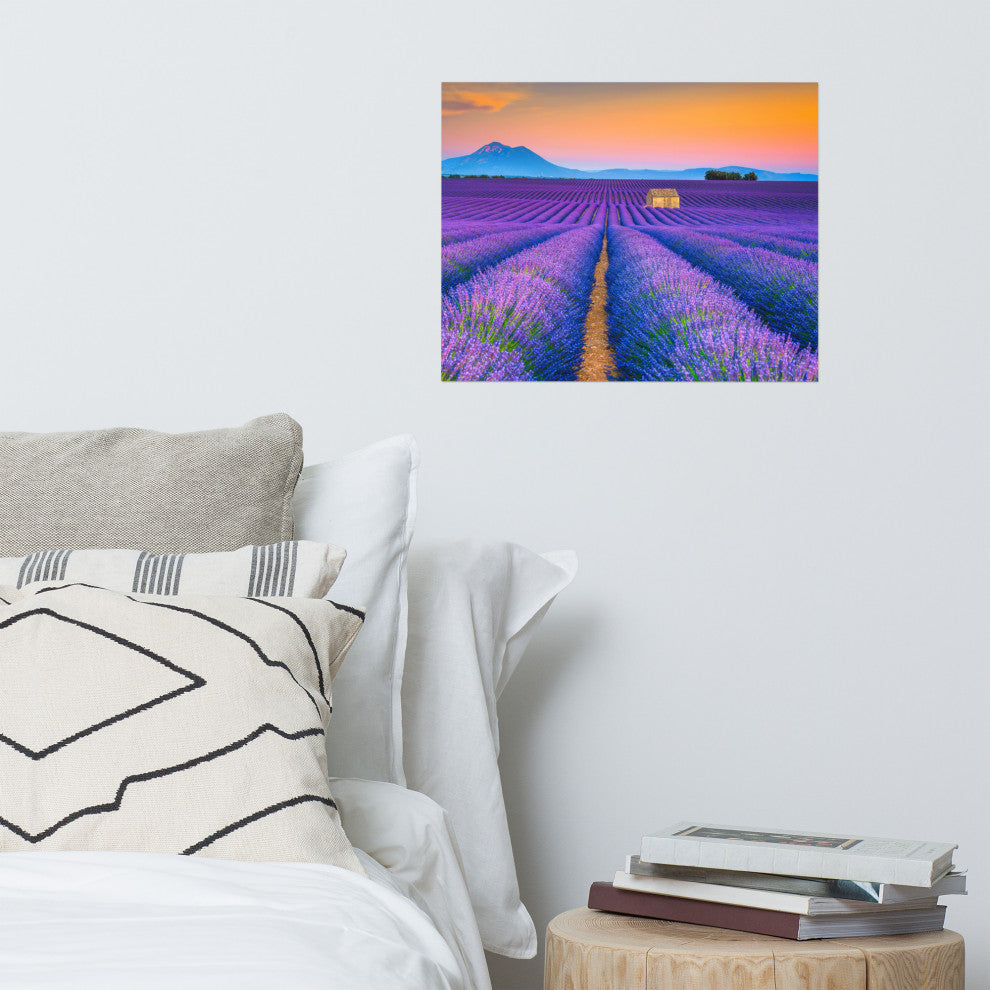 Blooming Lavender Field and Sunset Landscape Photo Unframed Wall Art Prints, 16" X 20"