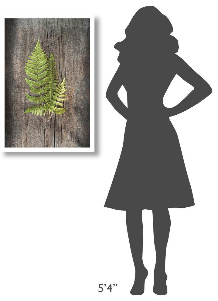 "Woodland Fern III" Digital Paper Print by Sue Schlabach, 22"x32"